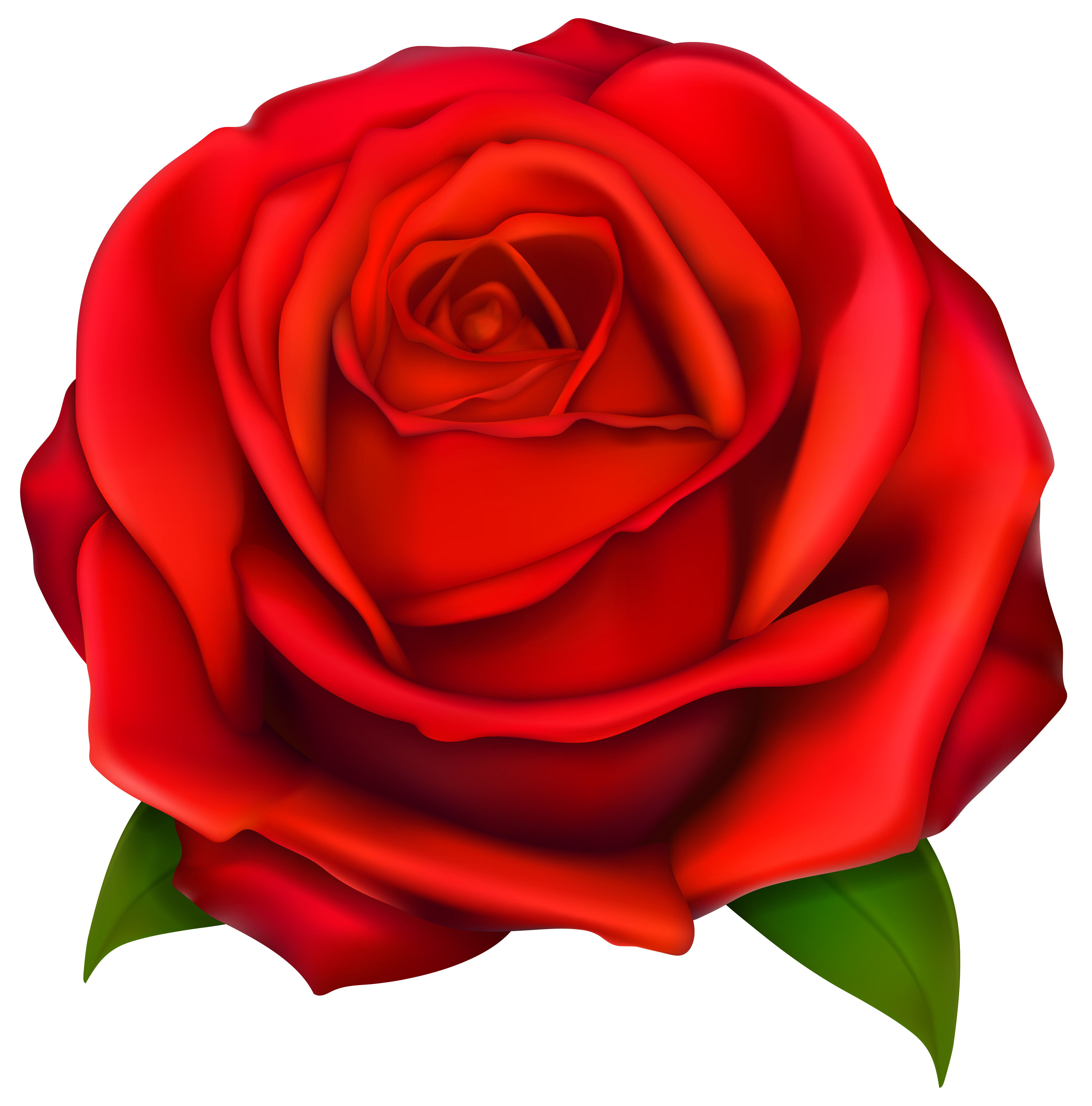 Detail Rose Clipart Nomer 3