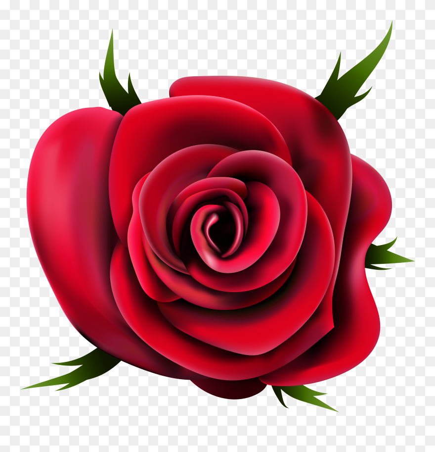 Detail Rose Clipart Nomer 23