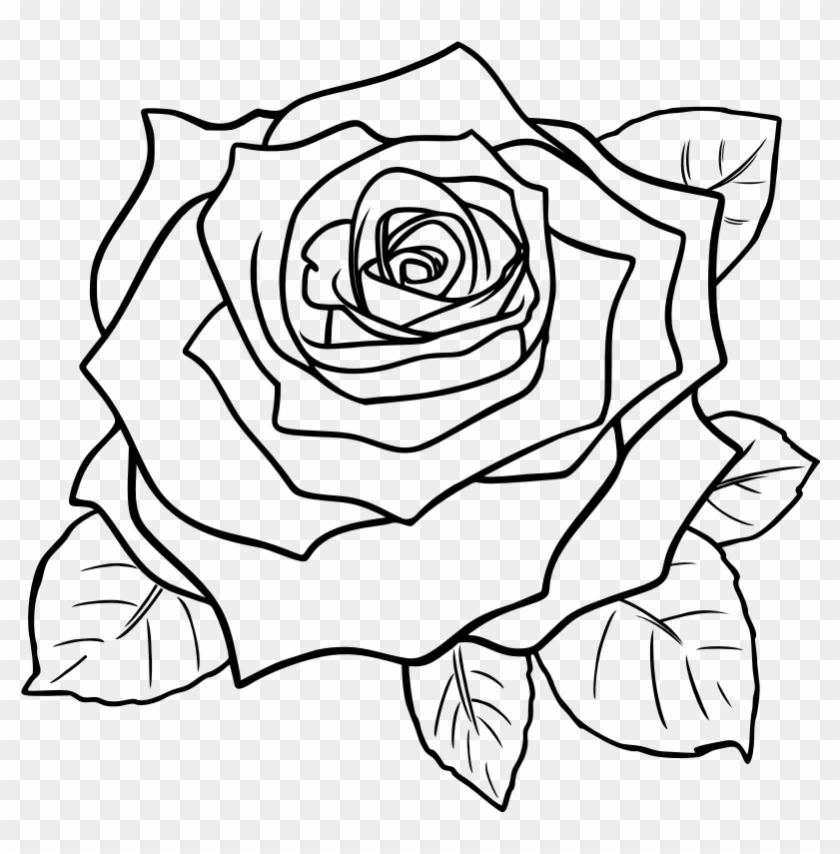 Detail Rose Clipart Black And White Nomer 13