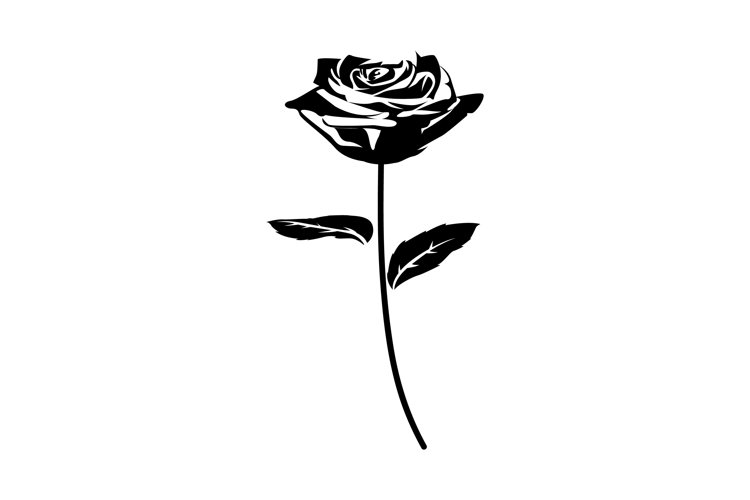 Detail Rose Clipart Black And White Nomer 34