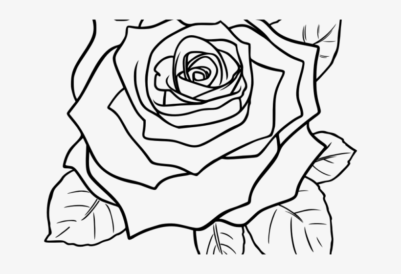 Detail Rose Clipart Black And White Nomer 47