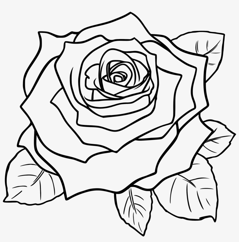 Detail Rose Clipart Black And White Nomer 9