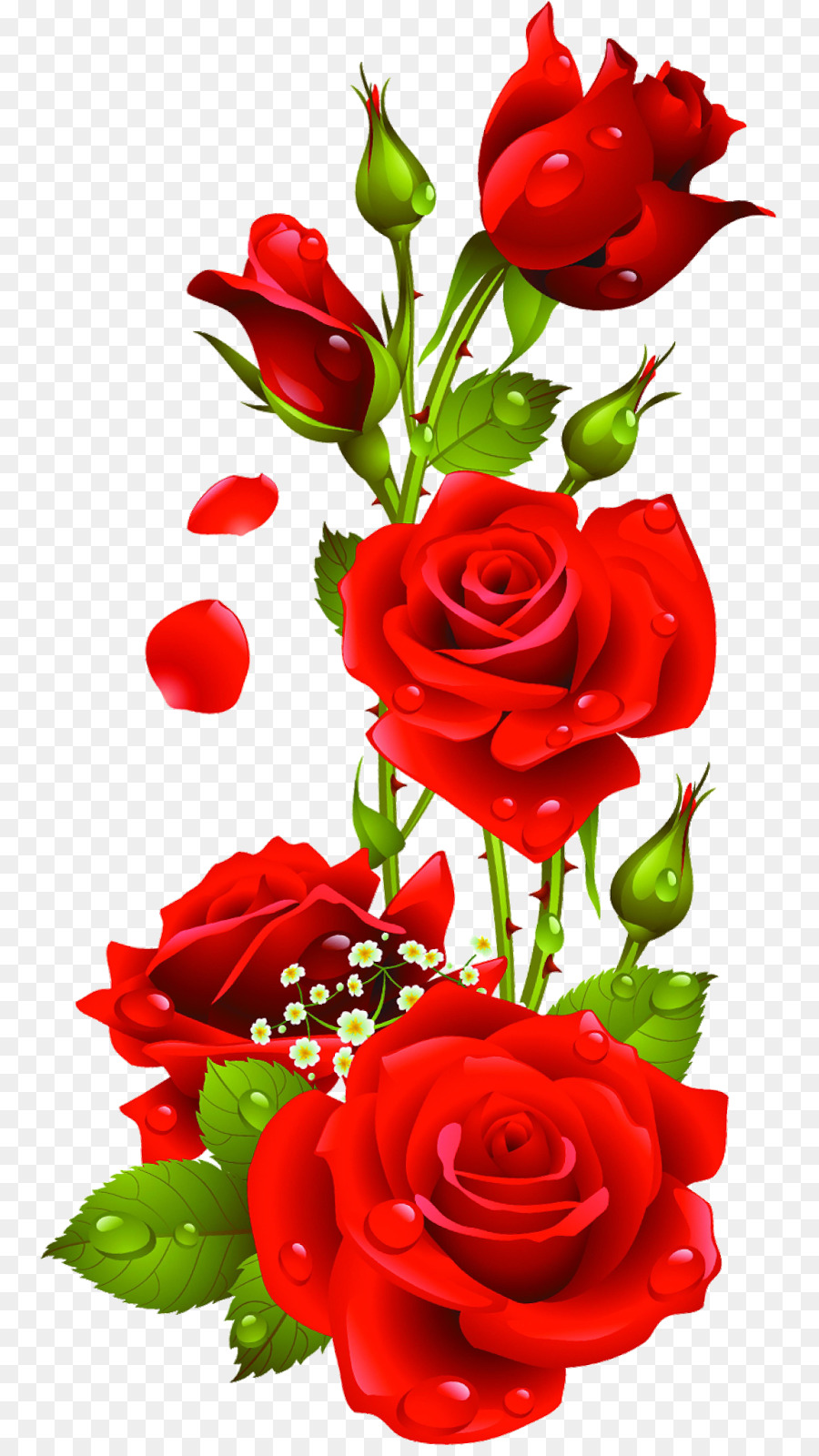 Detail Rose Download Nomer 15