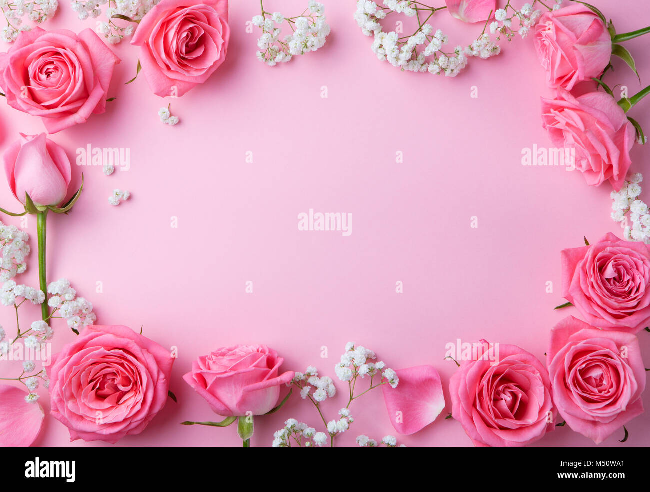 Detail Rose Flower Background Nomer 12