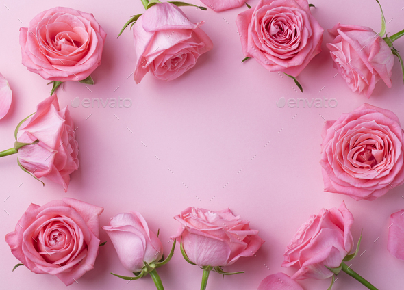 Detail Rose Flower Background Nomer 13