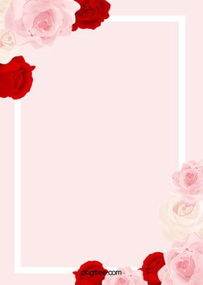 Detail Rose Flower Background Nomer 43