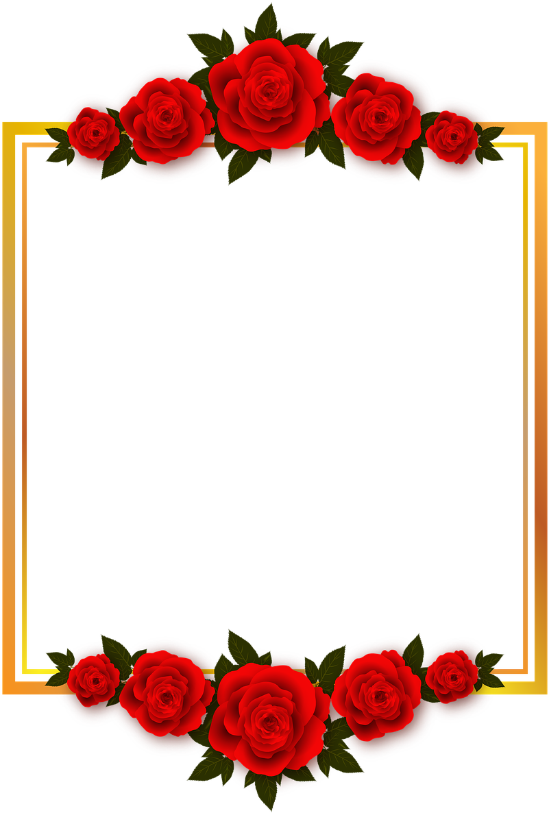 Detail Rose Flower Background Nomer 45