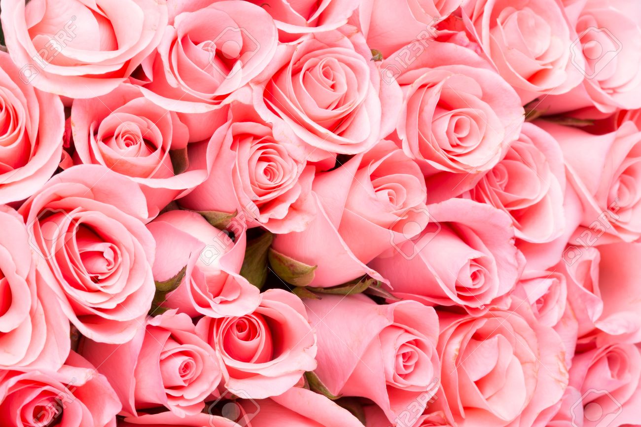 Detail Rose Flower Bouquet Images Hd Nomer 44