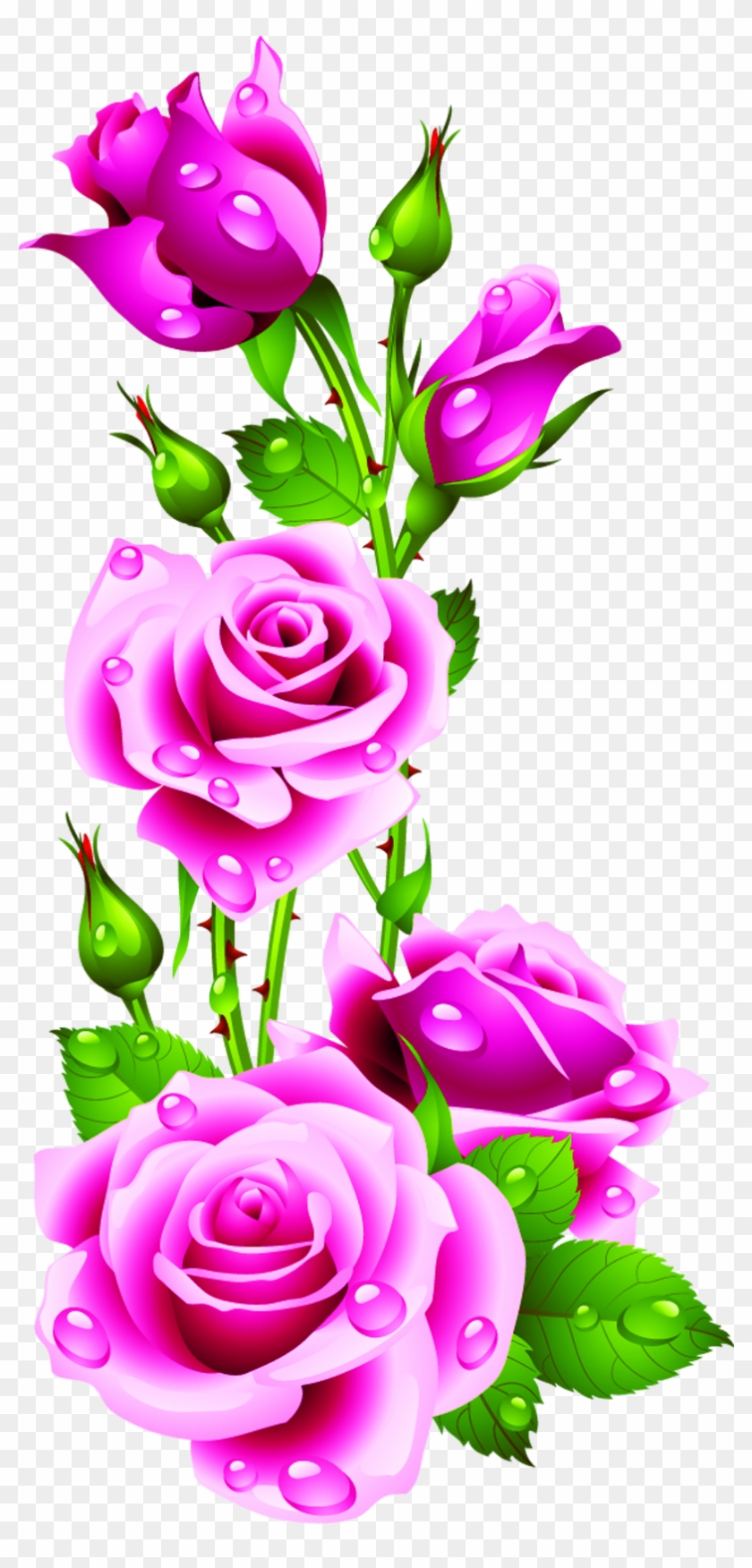 Detail Rose Flower Image Download Nomer 26