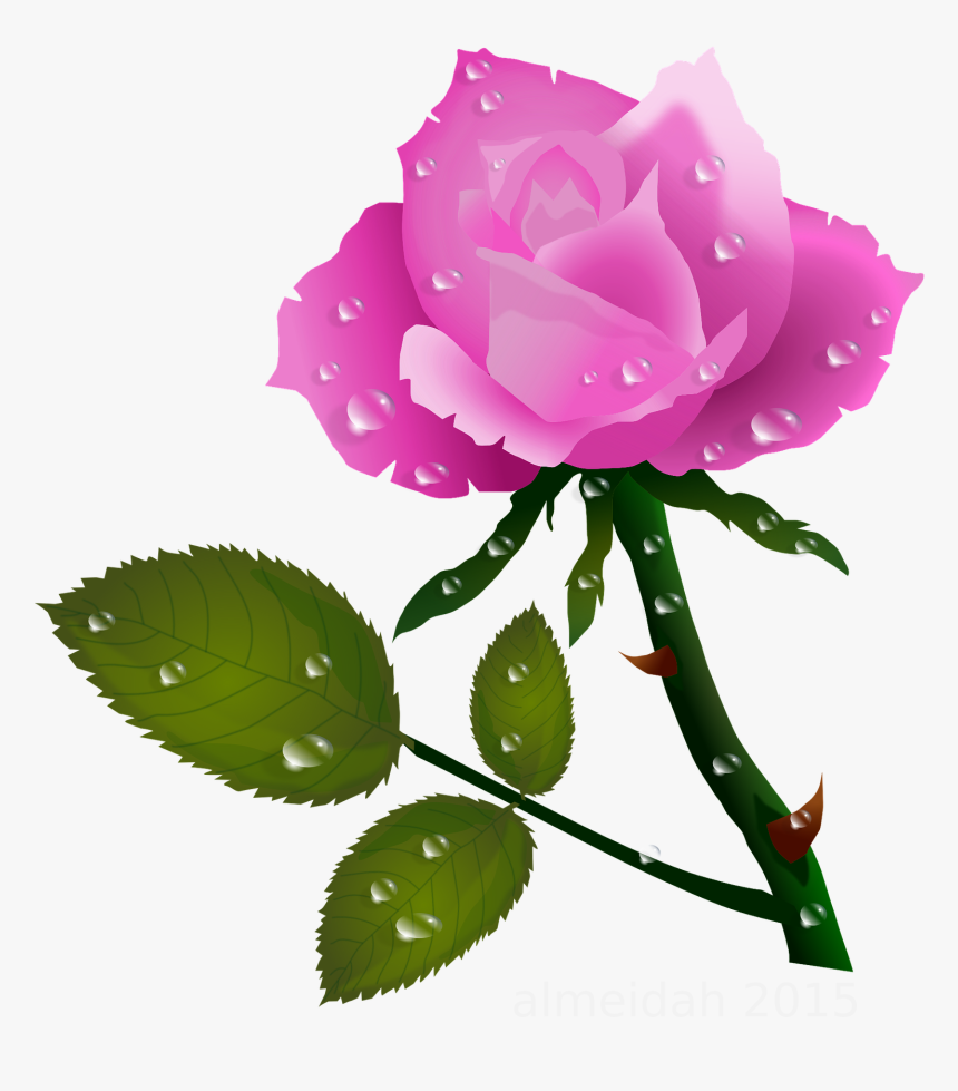 Detail Rose Flower Images Free Download Hd Nomer 26