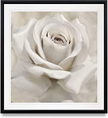 Detail Rose Flower Images Gallery Nomer 40