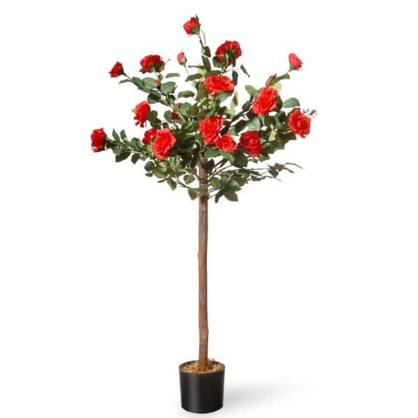Detail Rose Flower Tree Image Nomer 17