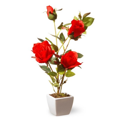Detail Rose Flower Tree Image Nomer 2