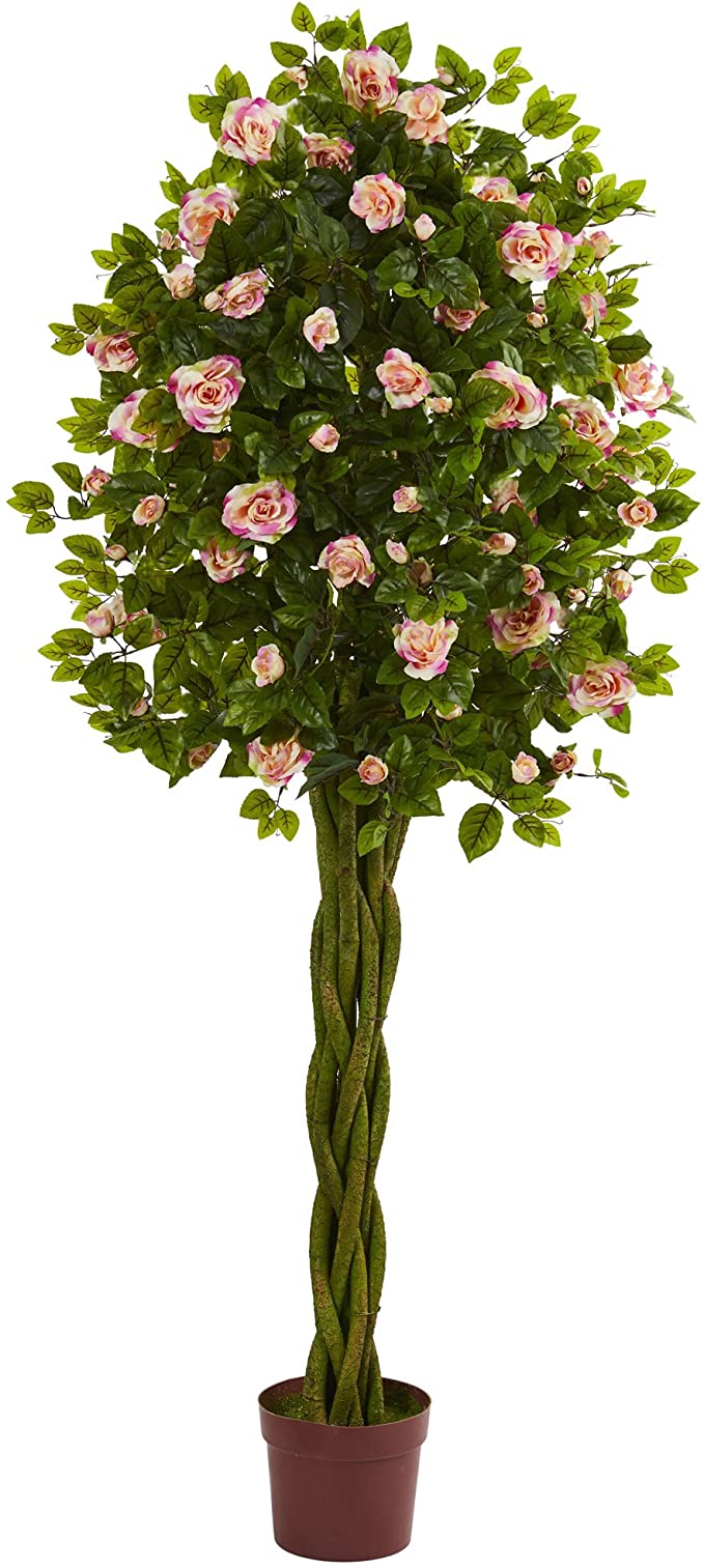 Detail Rose Flower Tree Image Nomer 18
