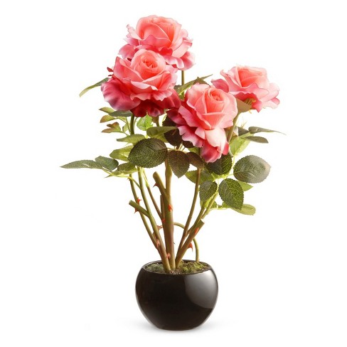 Detail Rose Flower Tree Image Nomer 20