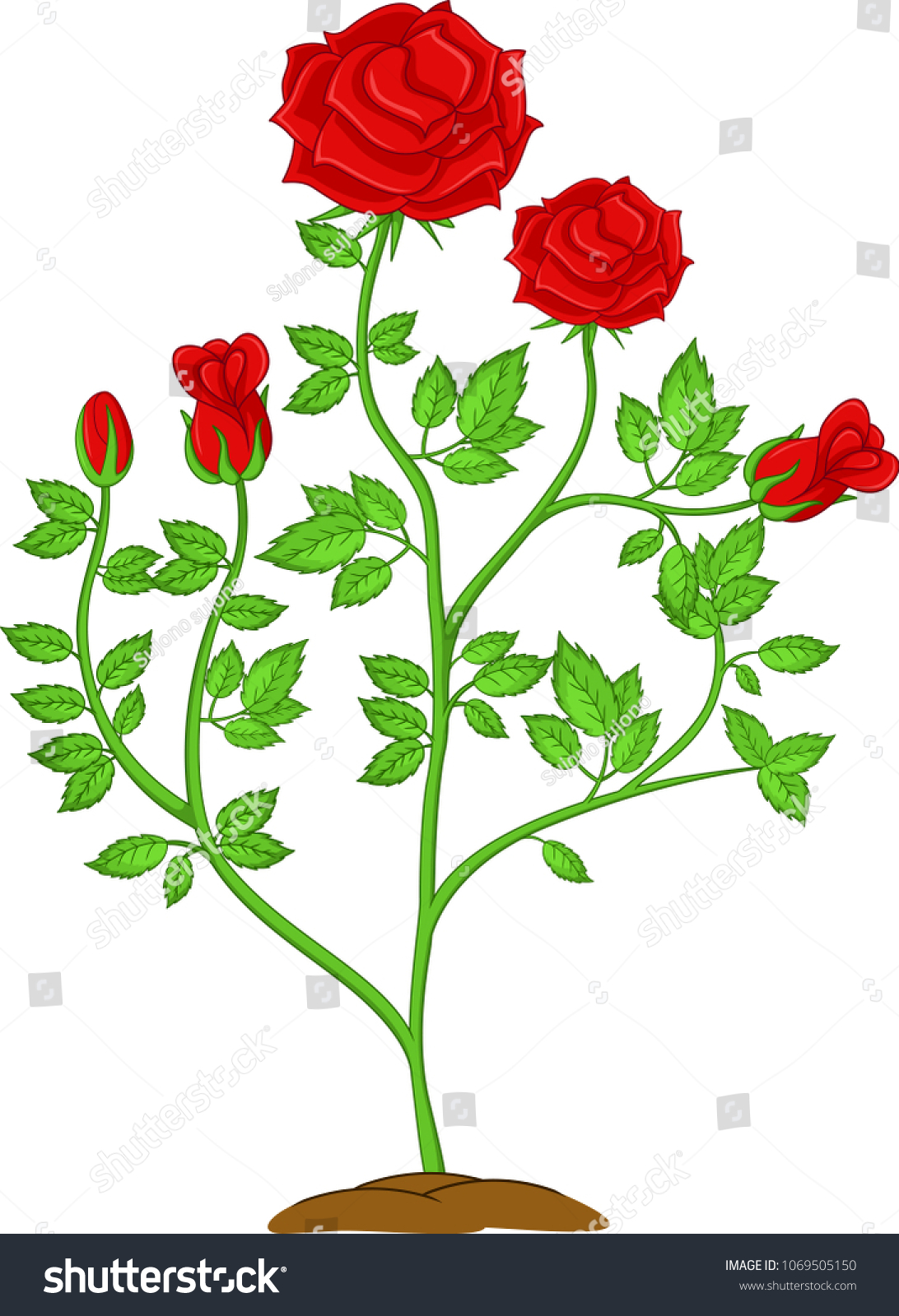Detail Rose Flower Tree Image Nomer 33