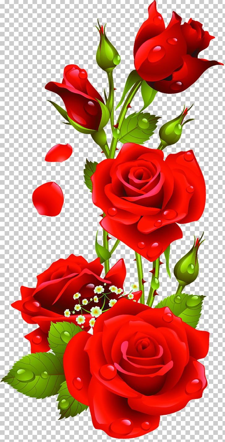 Detail Rose Flowers Image Free Download Nomer 3