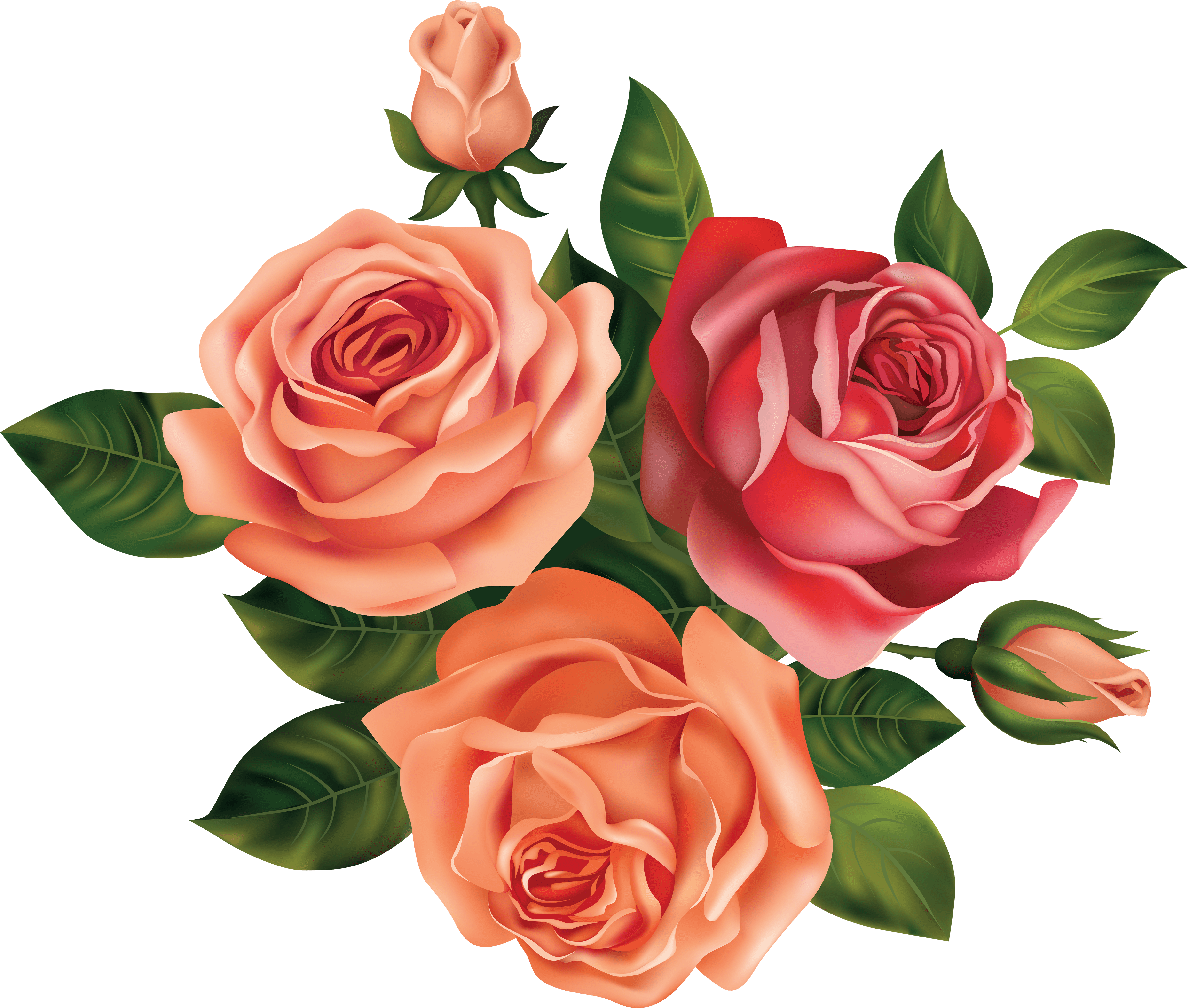 Detail Rose Flowers Image Free Download Nomer 43