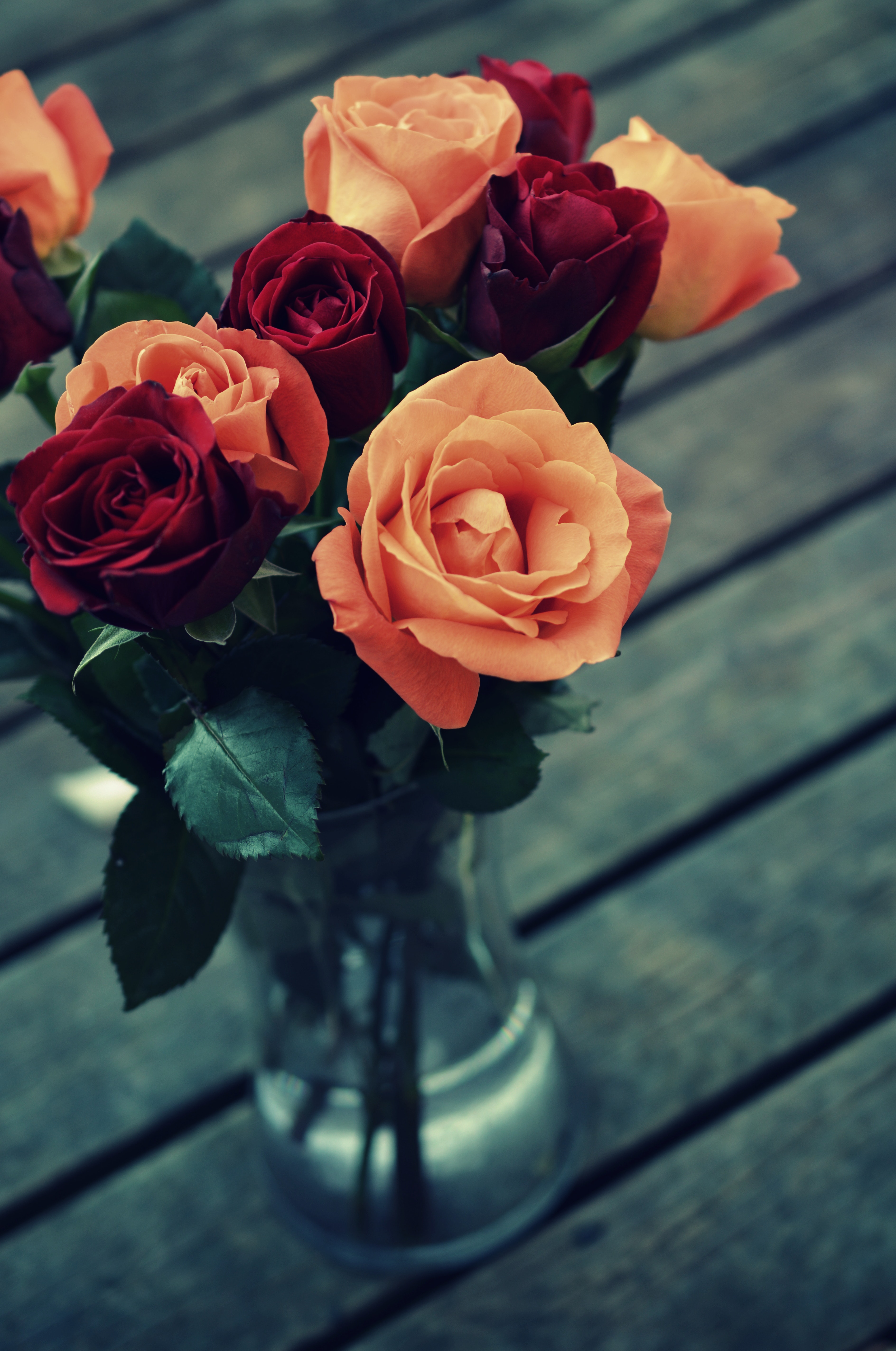 Detail Rose Flowers Wallpapers Nomer 5