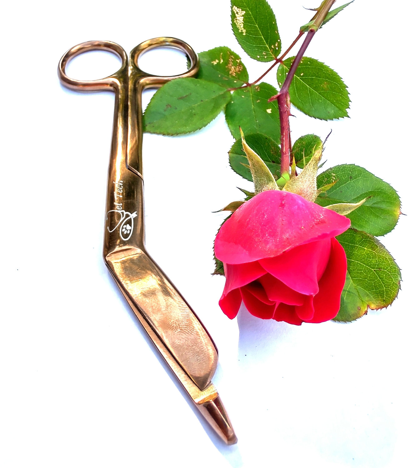 Detail Rose Gold Bandage Scissors Nomer 20