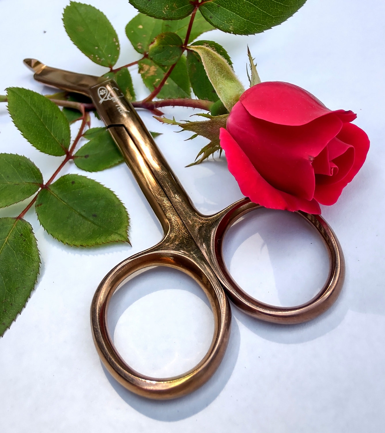 Detail Rose Gold Bandage Scissors Nomer 22