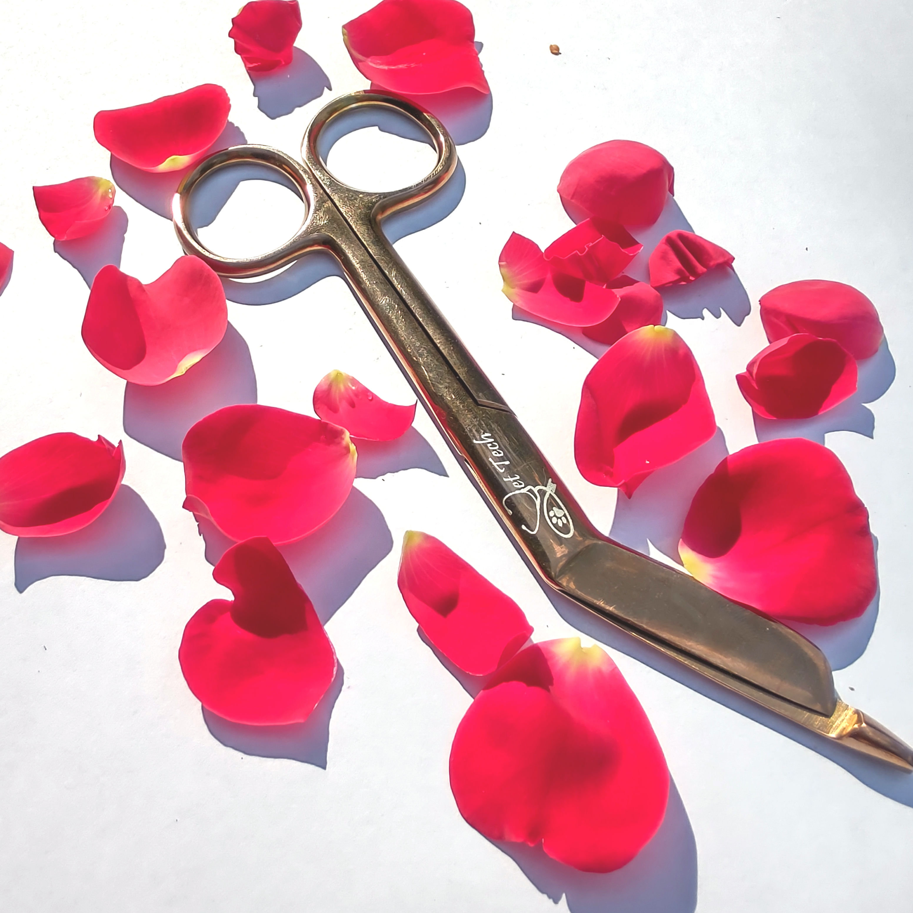 Detail Rose Gold Bandage Scissors Nomer 10