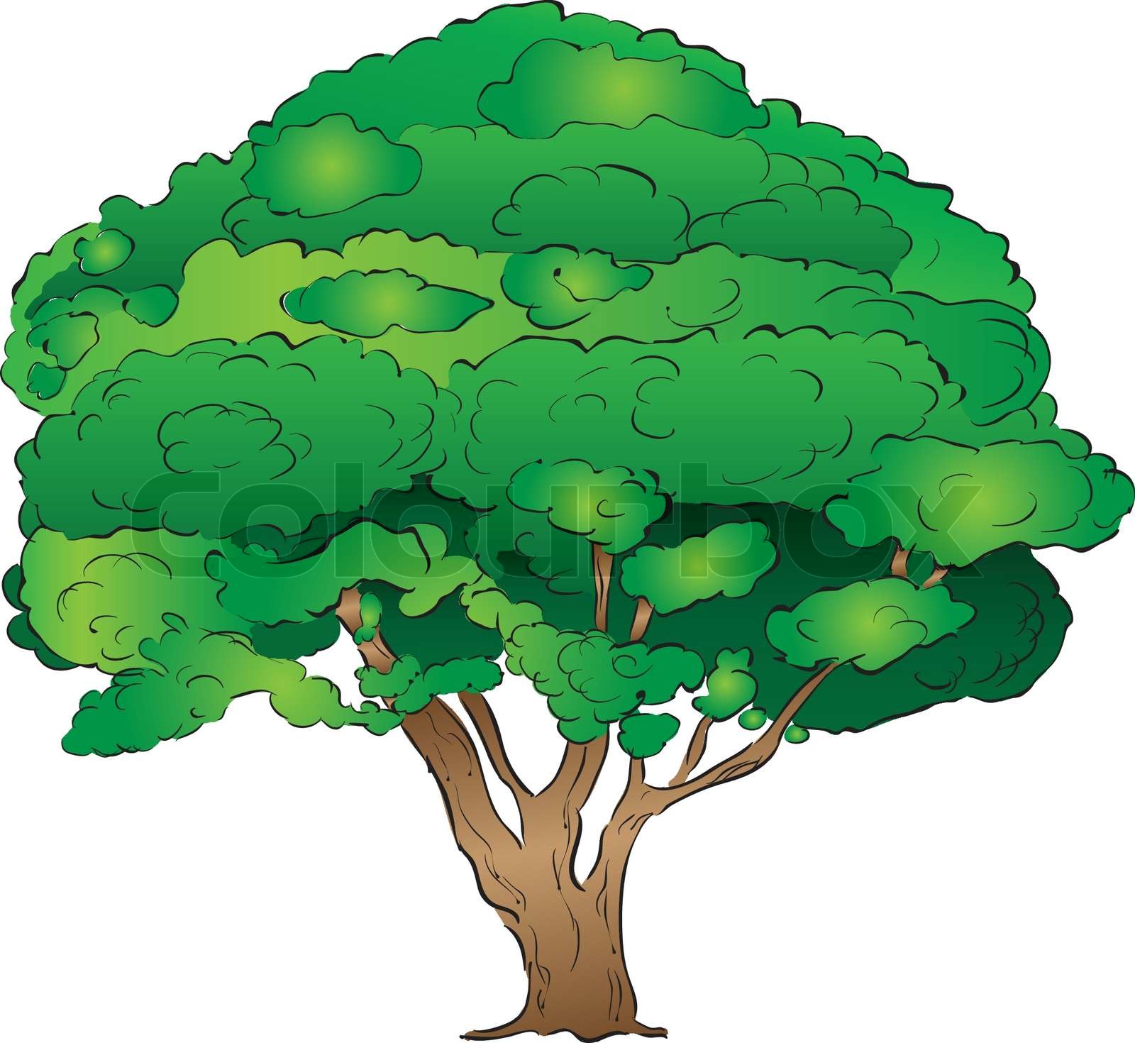 Alter Baum Zeichnung - KibrisPDR