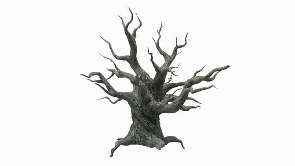 Detail Alter Baum Zeichnung Nomer 9