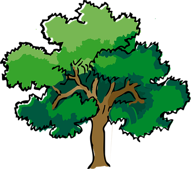 Detail Alter Baum Zeichnung Nomer 19