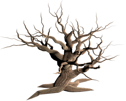 Detail Alter Baum Zeichnung Nomer 21