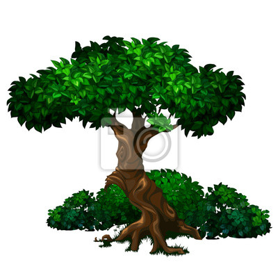 Detail Alter Baum Zeichnung Nomer 8