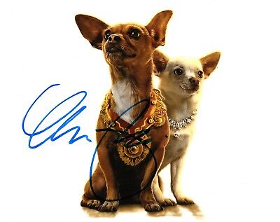 Detail Beverly Hills Chihuahua 4 Nomer 13