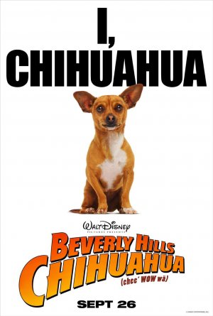 Detail Beverly Hills Chihuahua 4 Nomer 26