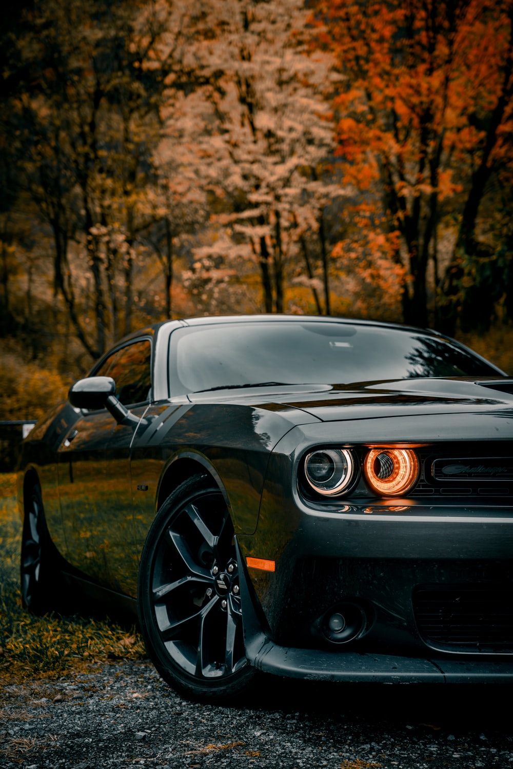 Detail Dodge Car Pic Nomer 7