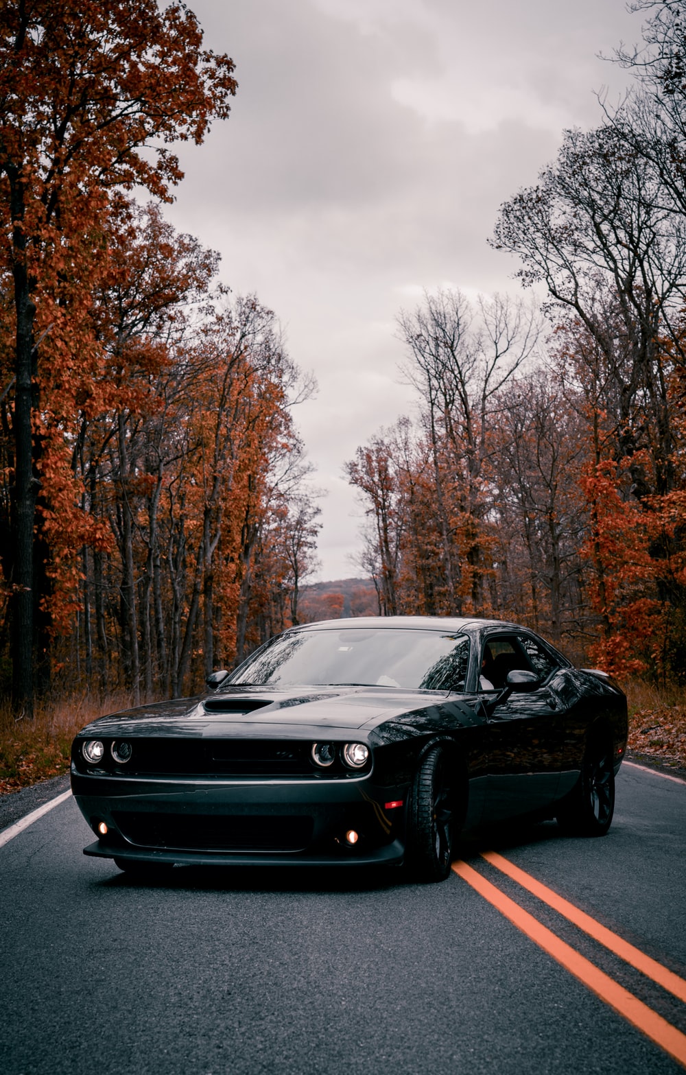 Dodge Challenger Wallpaper - KibrisPDR