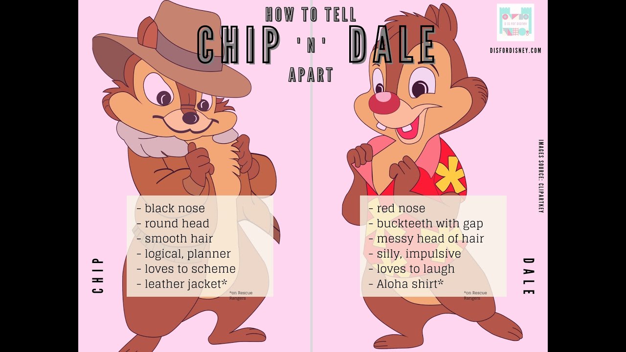 Does Chip Or Dale Have The Red Nose - KibrisPDR