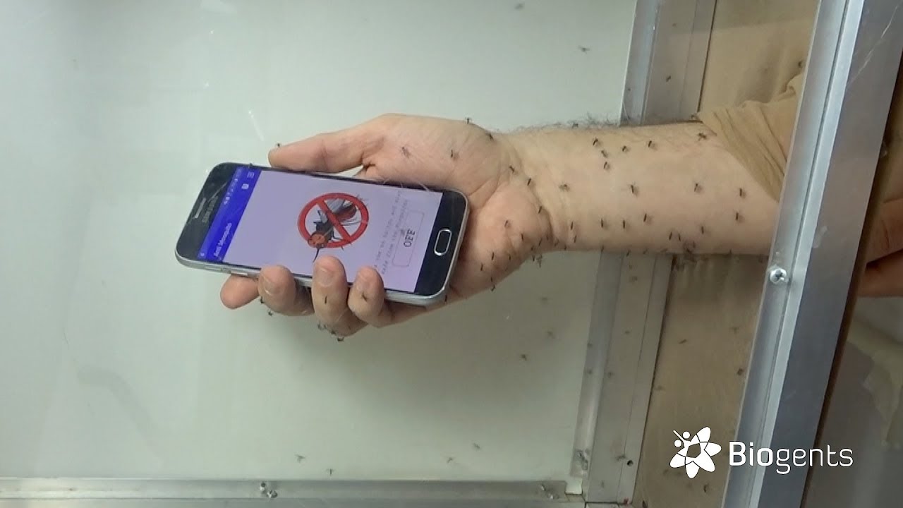 Does Sonic Shield Mosquito Work - KibrisPDR