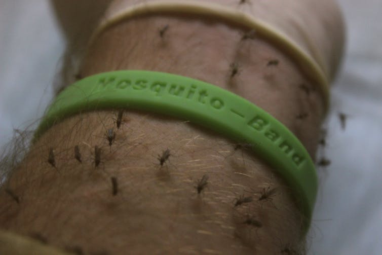 Detail Does Sonic Shield Mosquito Work Nomer 21