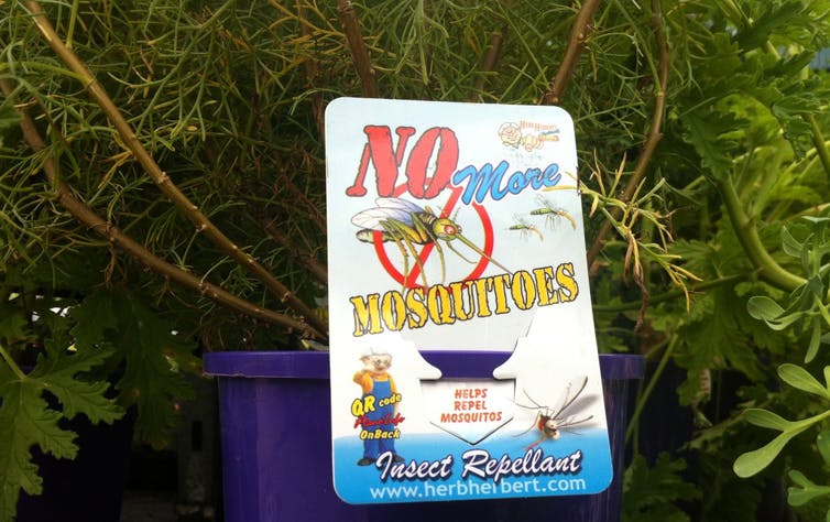 Detail Does Sonic Shield Mosquito Work Nomer 45
