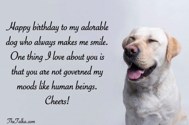 Detail Dog Birthday Quotes Nomer 2