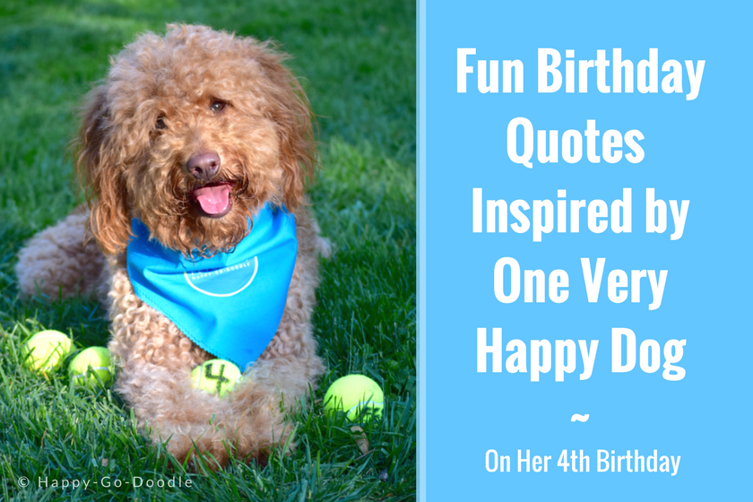 Detail Dog Birthday Quotes Nomer 11