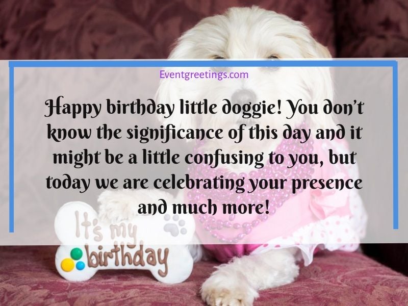 Detail Dog Birthday Quotes Nomer 12