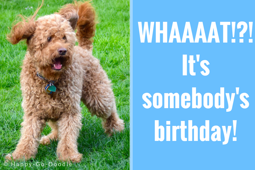 Detail Dog Birthday Quotes Nomer 18