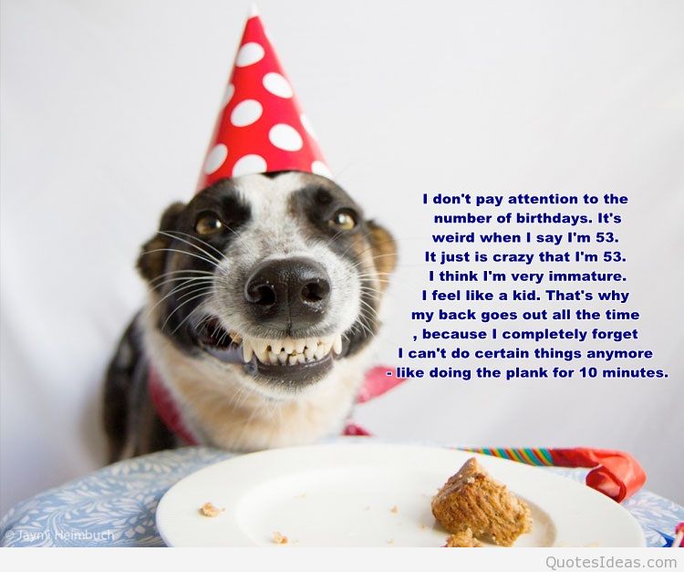 Detail Dog Birthday Quotes Nomer 34