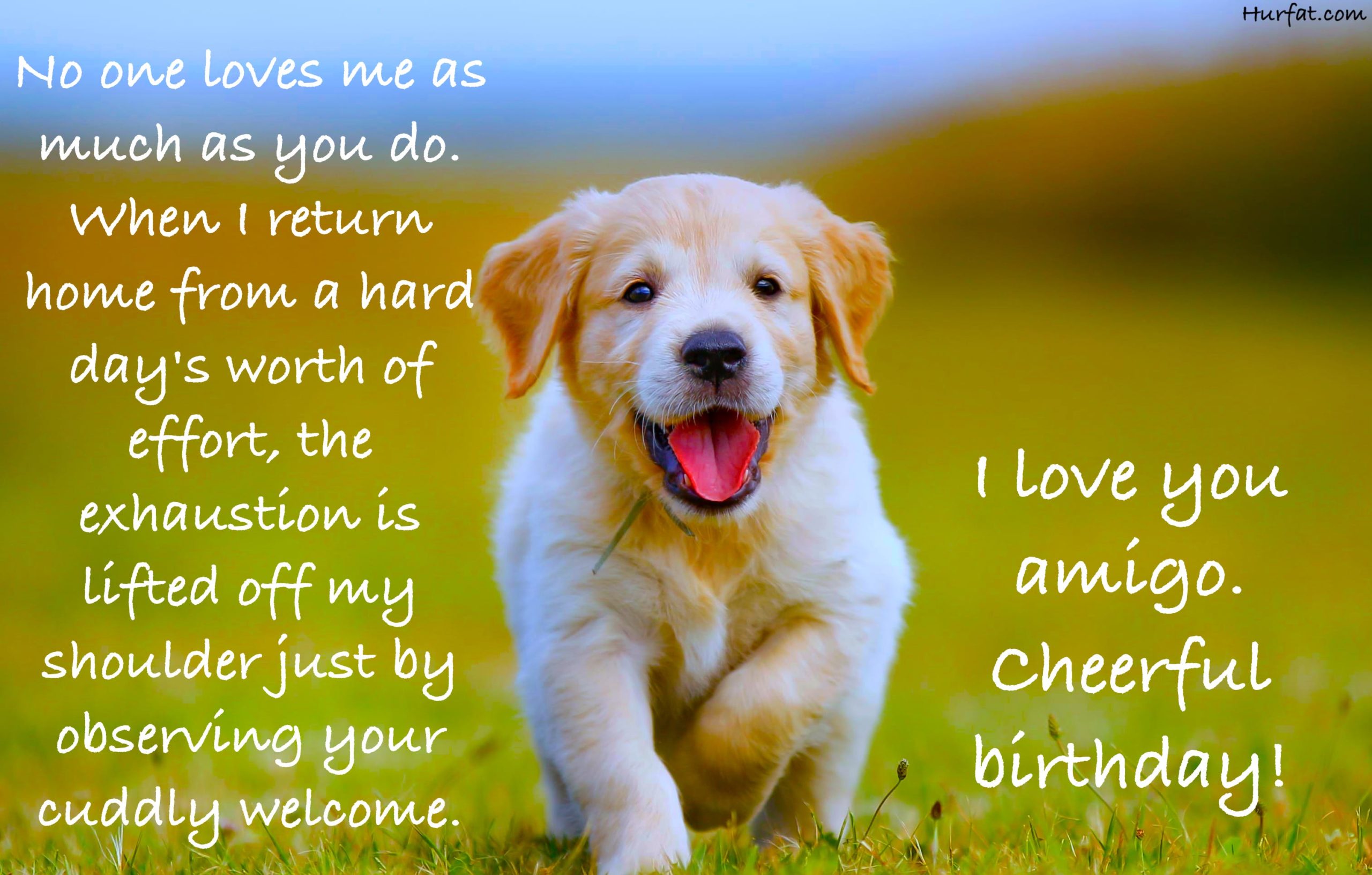 Detail Dog Birthday Quotes Nomer 5