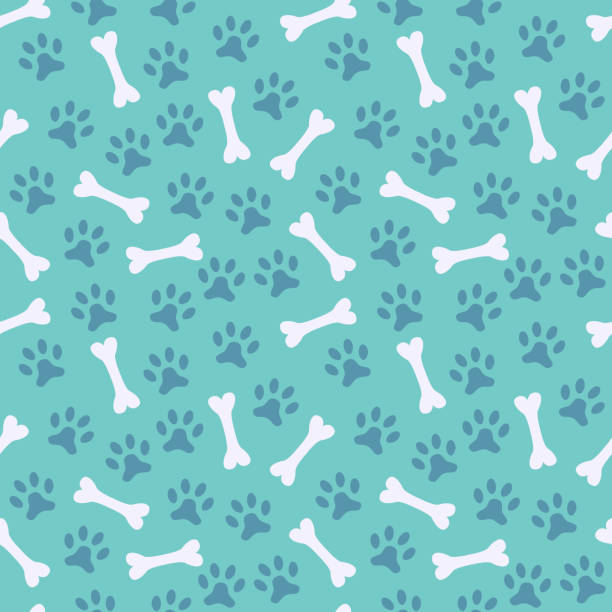 Detail Dog Bone Background Free Nomer 14