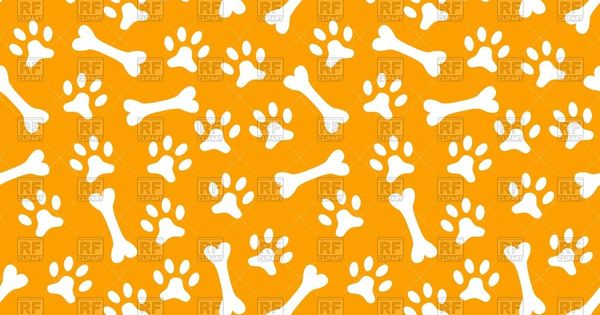 Detail Dog Bone Background Free Nomer 30