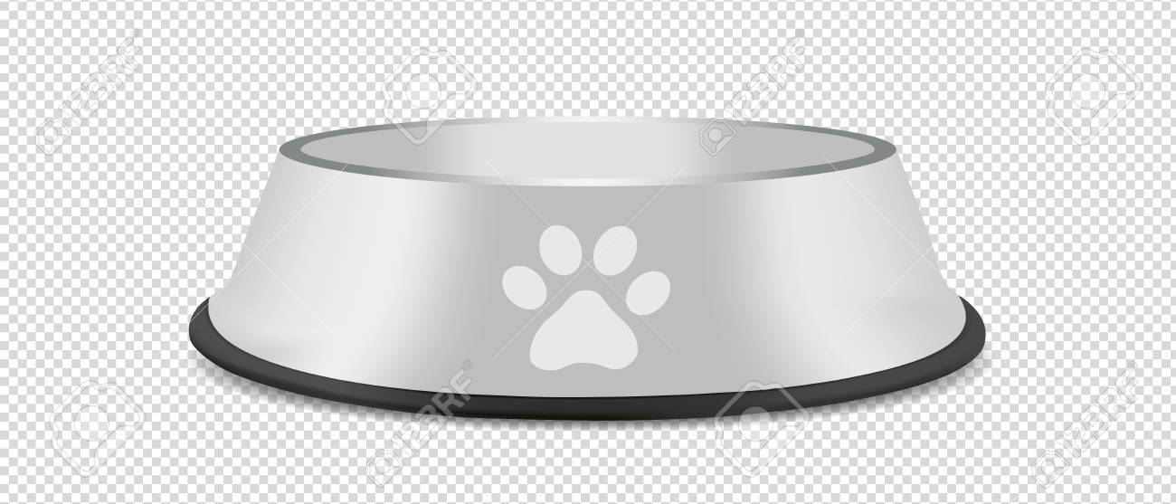 Detail Dog Bowl Transparent Background Nomer 6