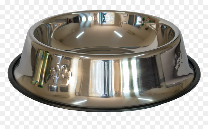 Detail Dog Bowl Transparent Background Nomer 51