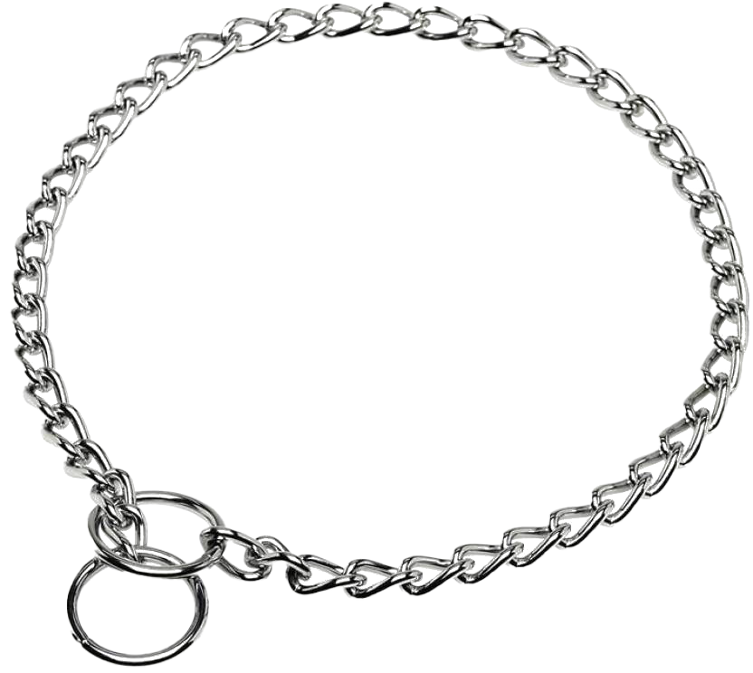 Detail Dog Chain Png Nomer 2